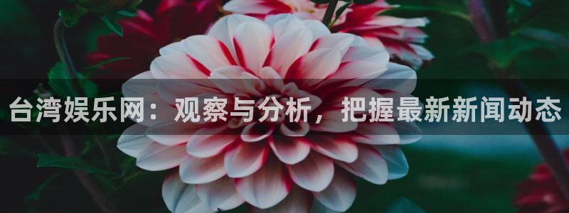 万事娱乐登录地址