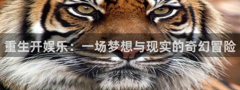 万事娱乐