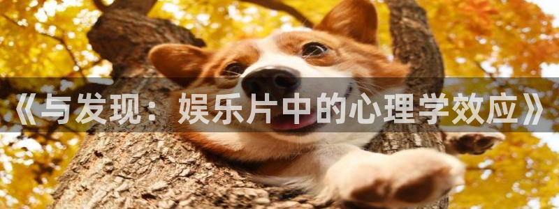 万事娱乐登录