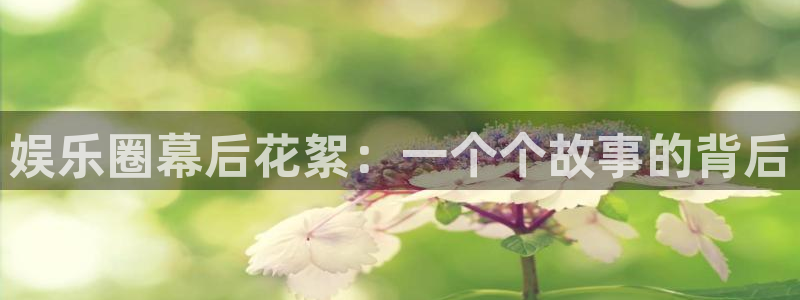 万事娱乐