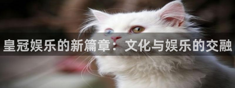 万事娱乐